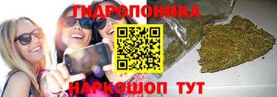 мяу мяу мука Новокубанск