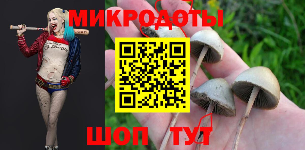 Татарск  Псилоцибиновые грибы MAGIC MUSHROOMS  Вход с VPN 
